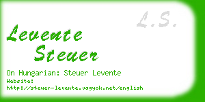 levente steuer business card